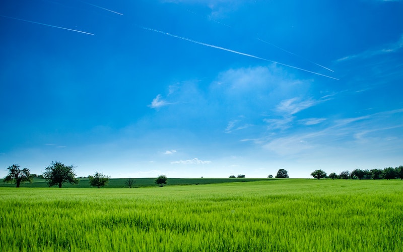 land